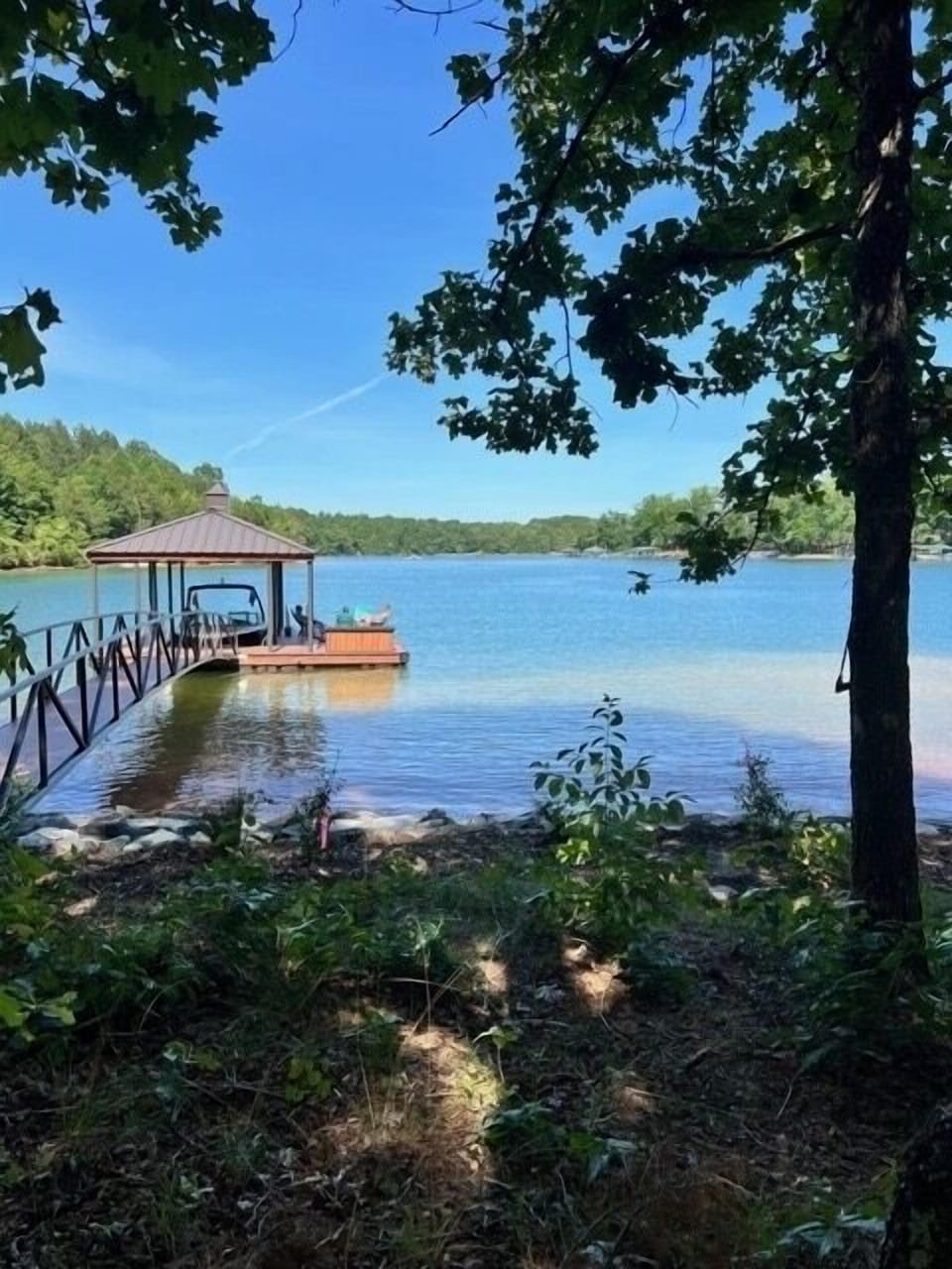 Wooded backyard leading to dock
