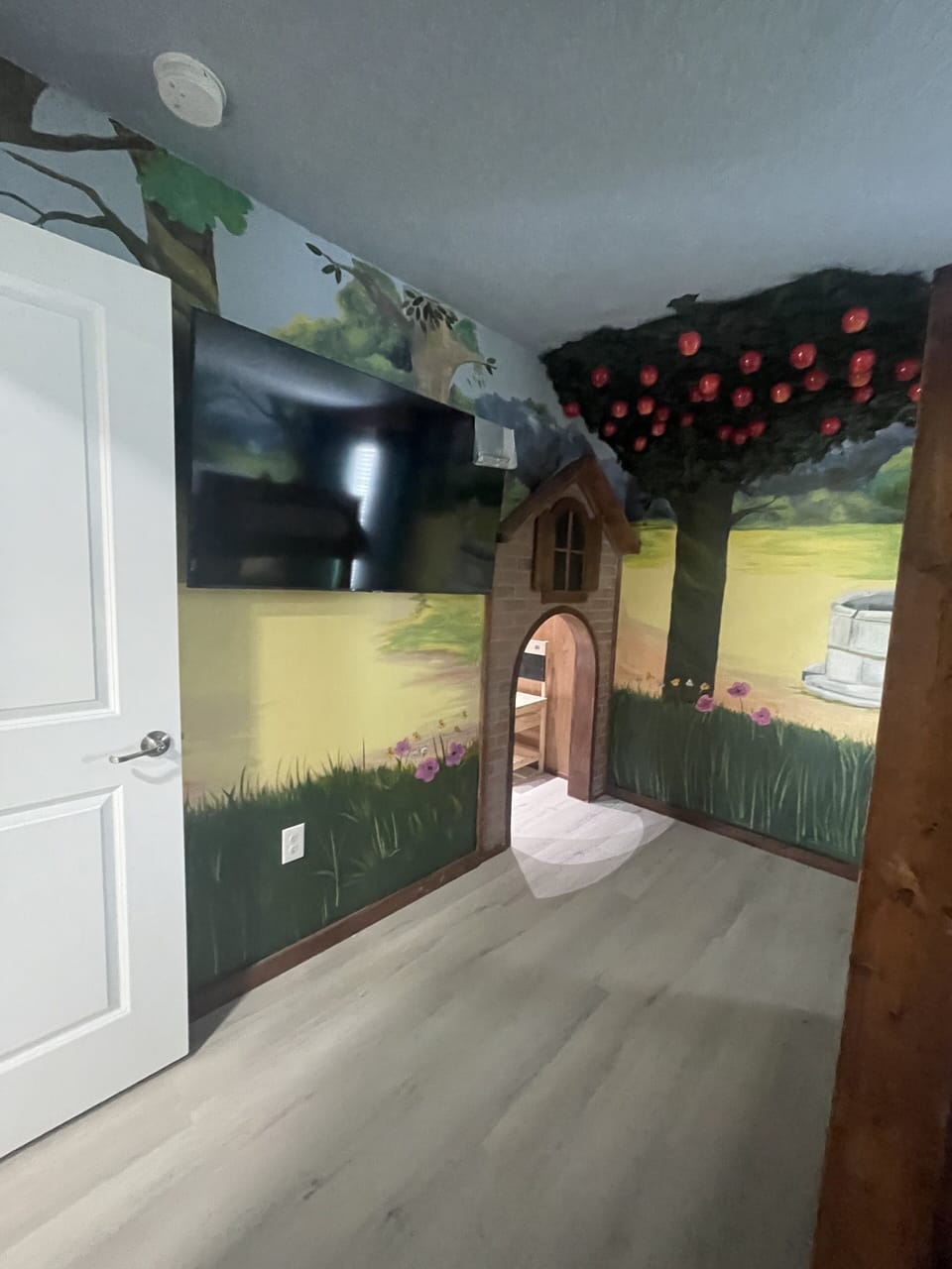 Full size Snow White themed bunkbed, 55” Smart TV (1)