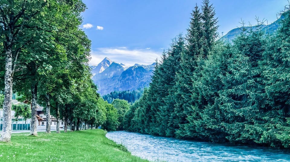 Apartment | 1 bedroom