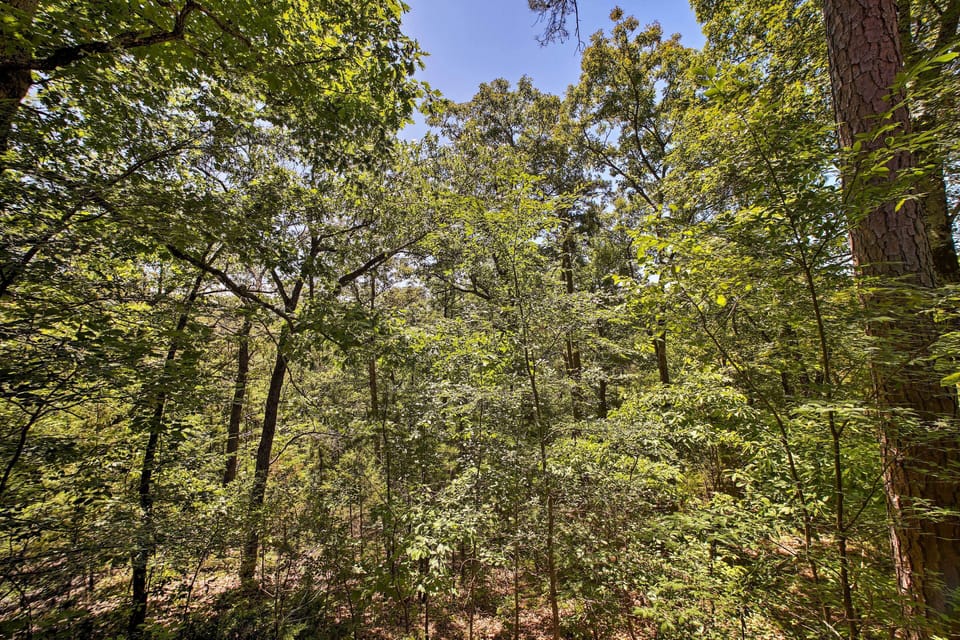 Apartment (0 Bedroom) | Interior