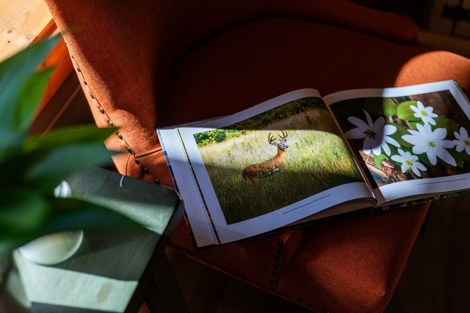 Feel the calm of the mountains as you relax and read.