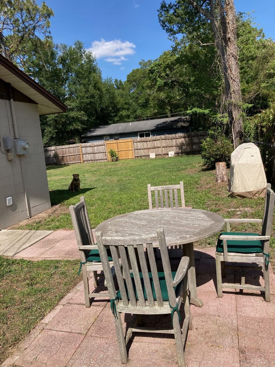 backyard