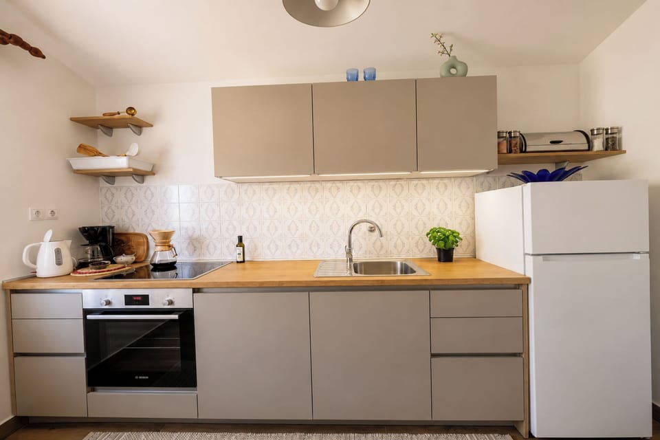 Fridge, oven, stovetop, dishwasher