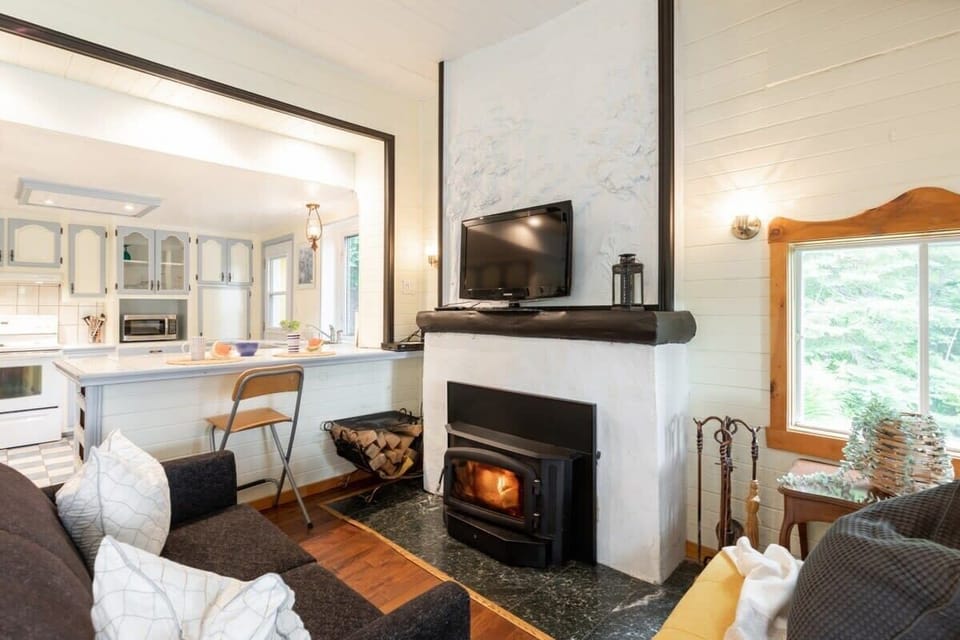 Salon chaleureux avec son foyer au bois 