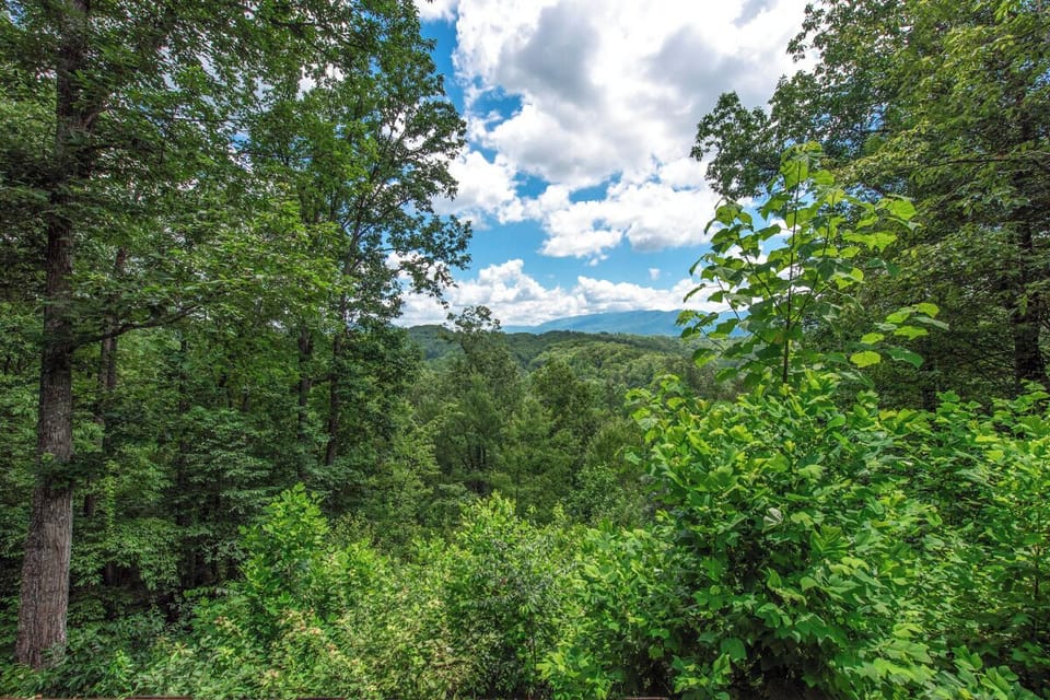 Views from Sunrise Pointe's relaxing decks
