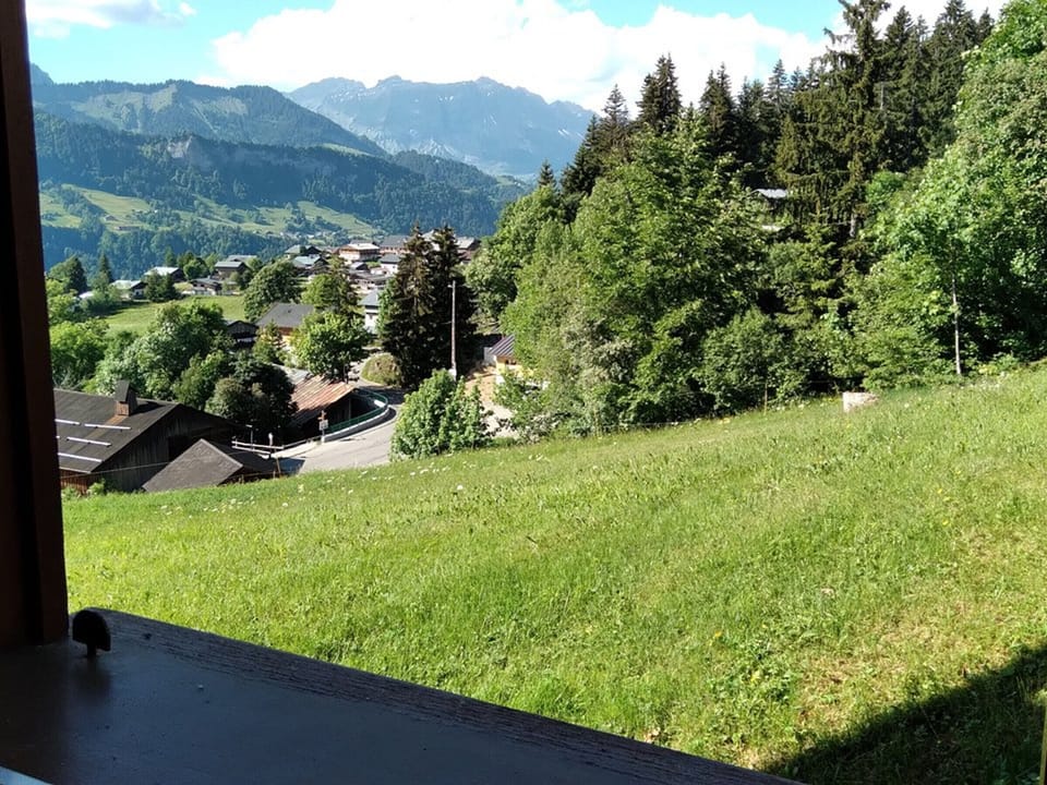 View from property