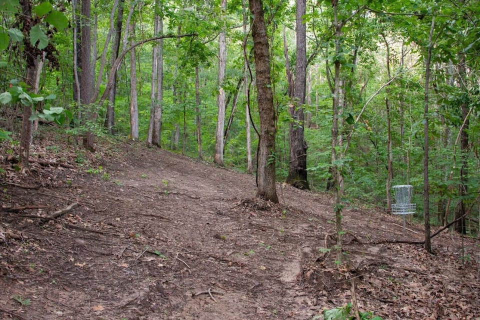 9-hole disc golf course