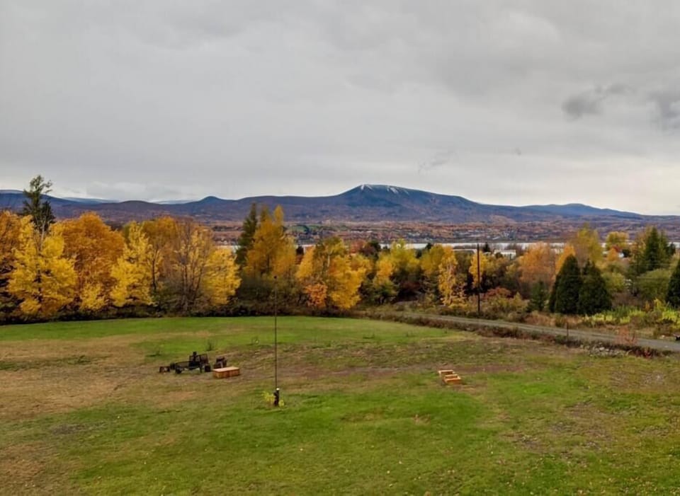 View and terrain