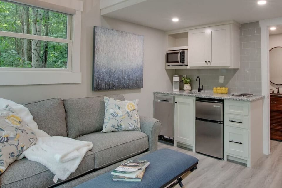 Living Room with pull-out sofa