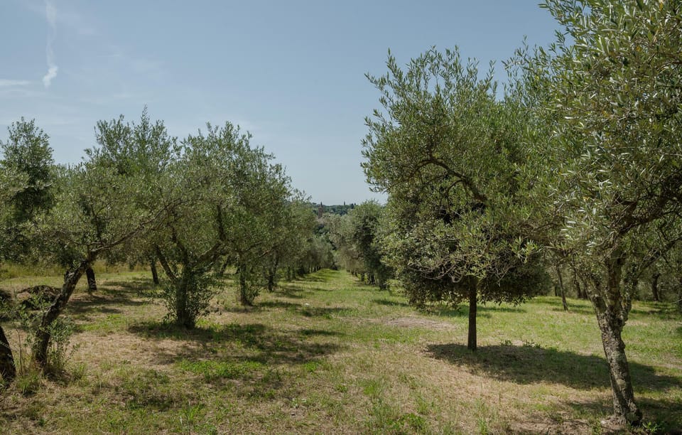 area