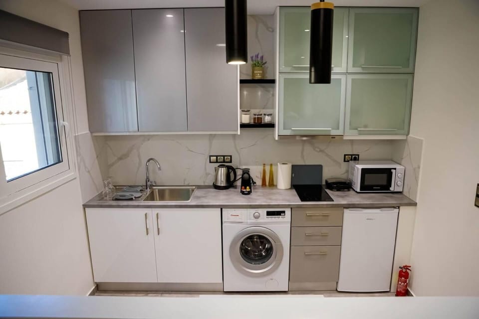 Studio | Private kitchen | Fridge, microwave, oven, electric kettle