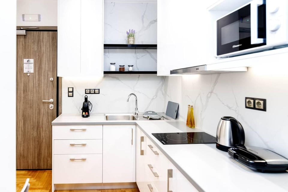 Studio | Private kitchen | Fridge, microwave, oven, electric kettle