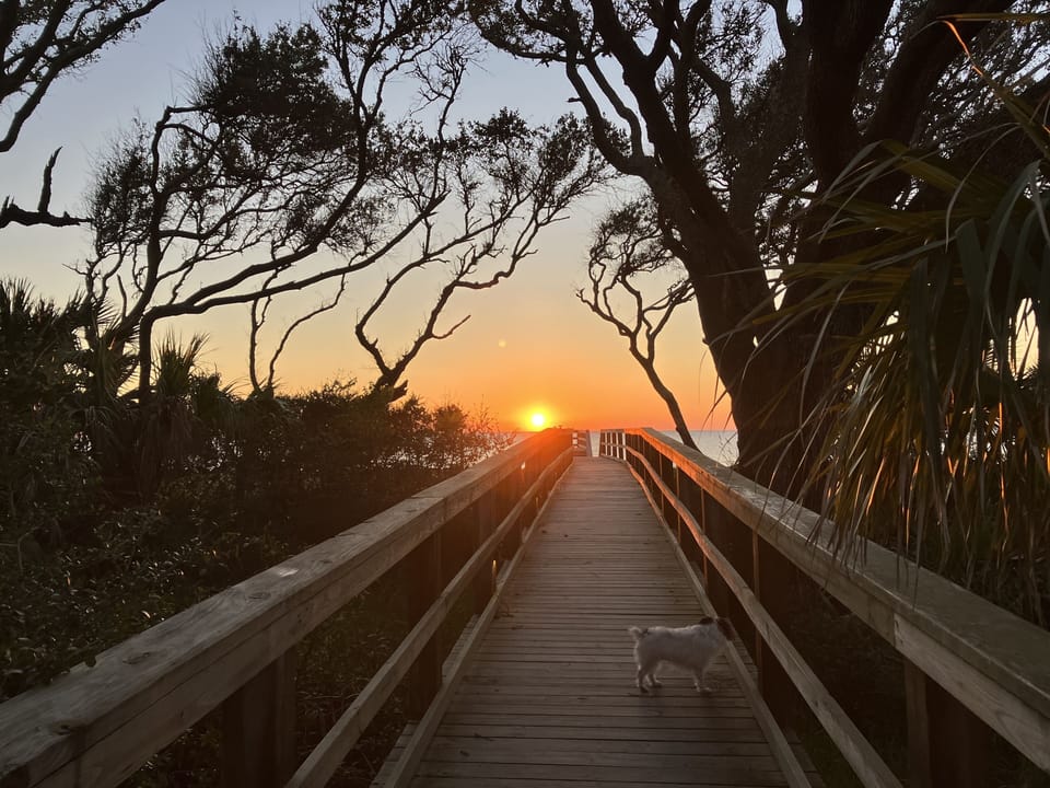 Watch the sun rise from your boardwalk