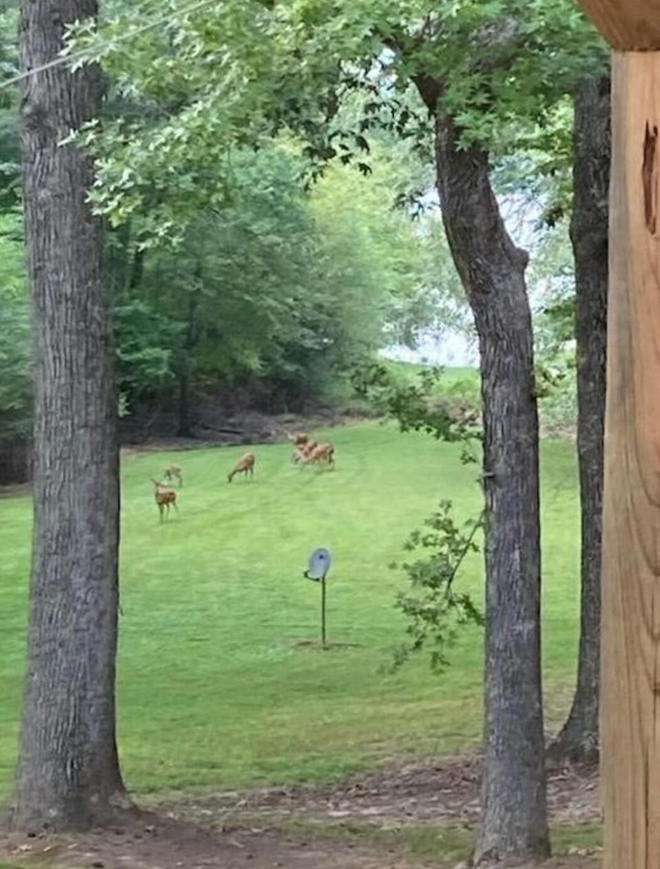 Property grounds