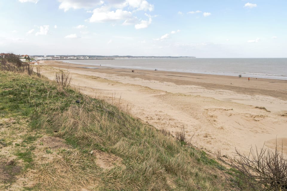 Image 13