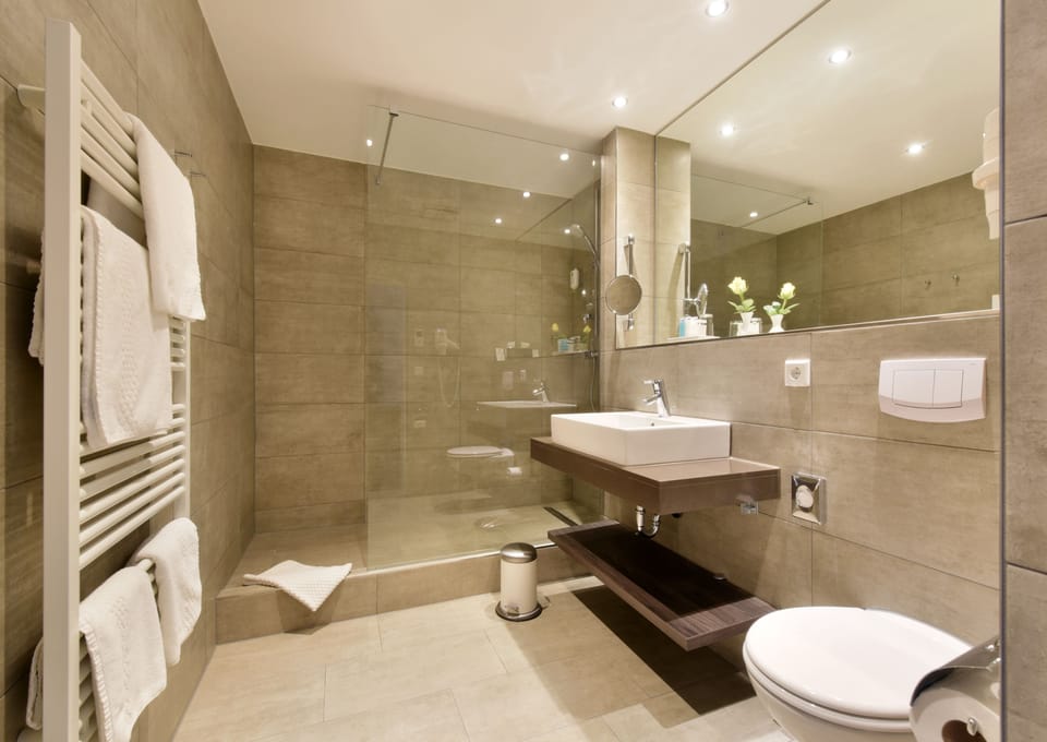 Business Double Room | Bathroom | Shower, free toiletries, hair dryer, towels