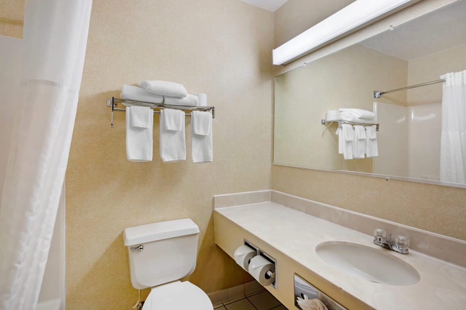 Combined shower/tub, free toiletries, hair dryer, towels
