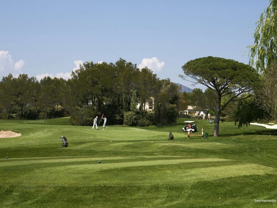 Golf