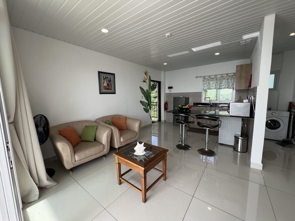 Standard Apartment | Living area | Printers