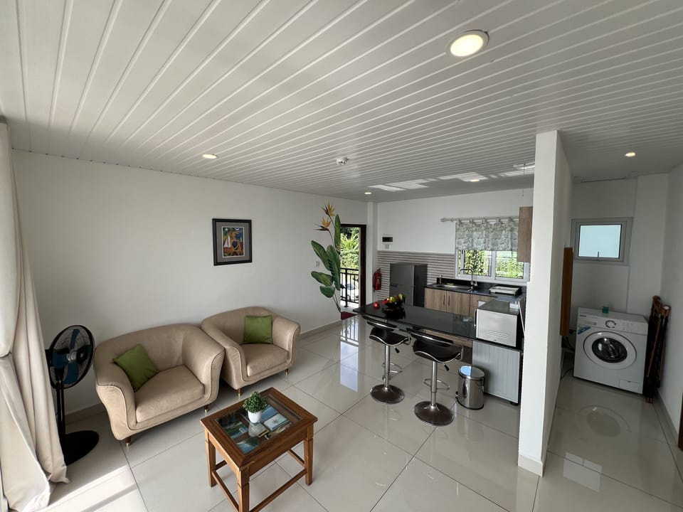 Standard Apartment | Living area | Printers