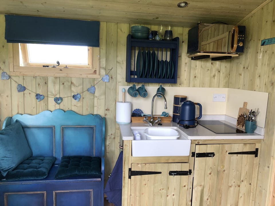 Cabin | Private kitchen | Fridge, microwave, stovetop, electric kettle