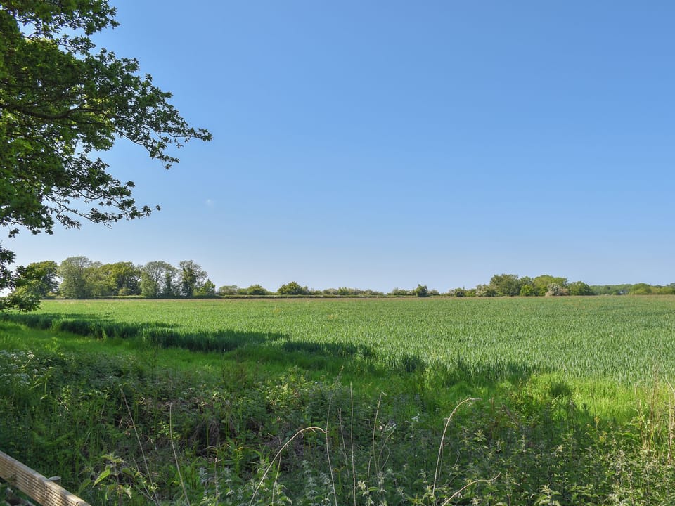 Beach | No. 4 Squirrels Nest - Middle of Nowhere, Great Witchingham