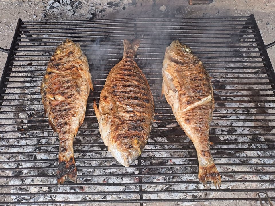 BBQ