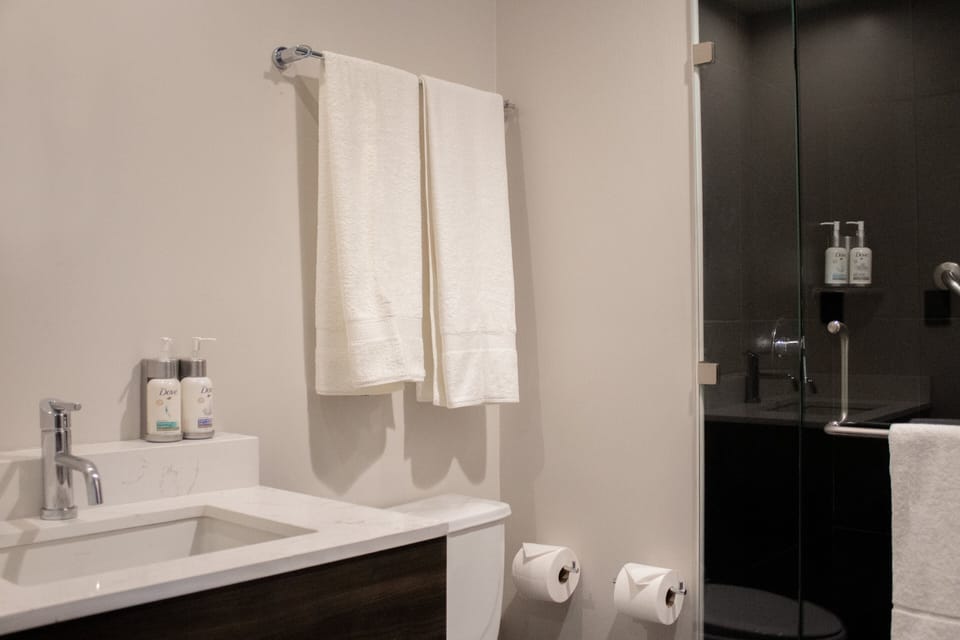 Shower, free toiletries, hair dryer, towels