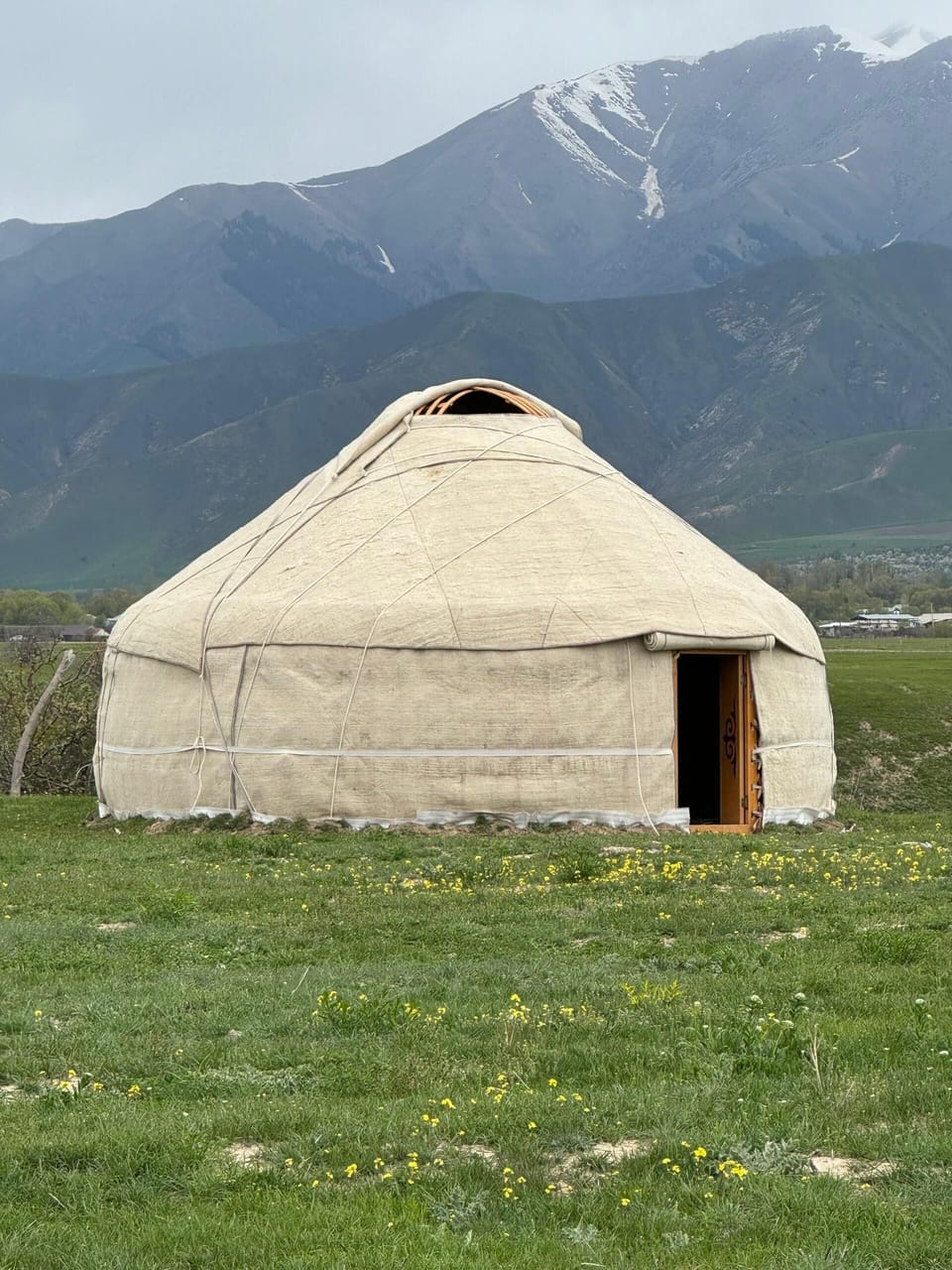 Traditional Shared Dormitory