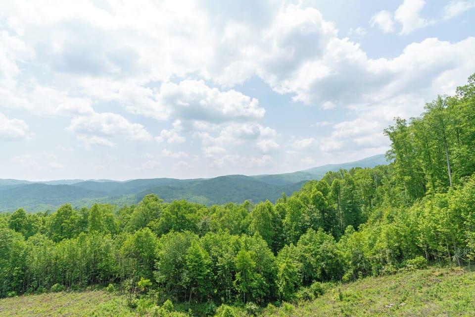Deck Area--- Mountain View