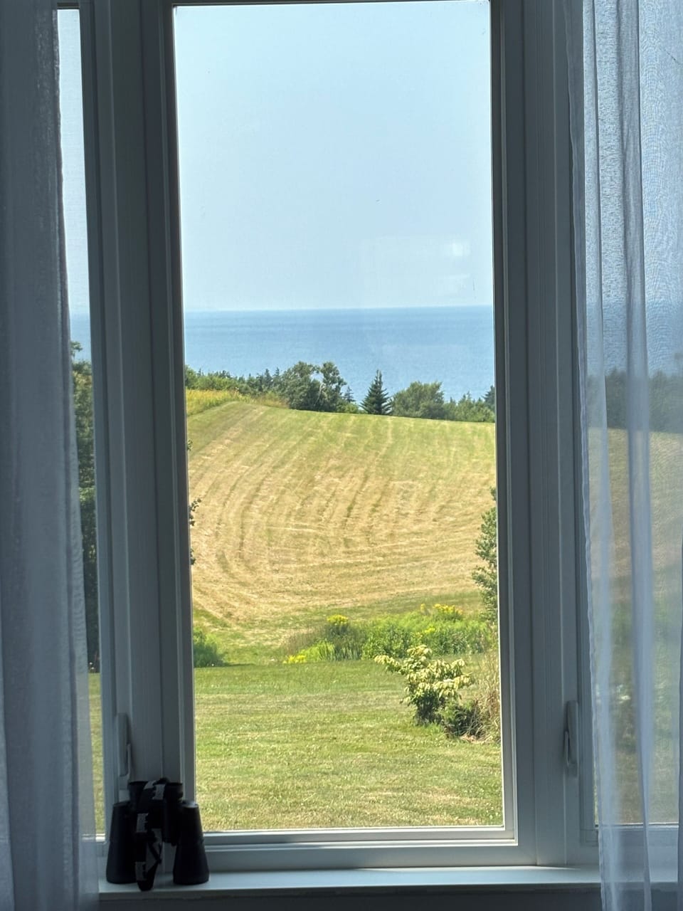 Living and dining room view