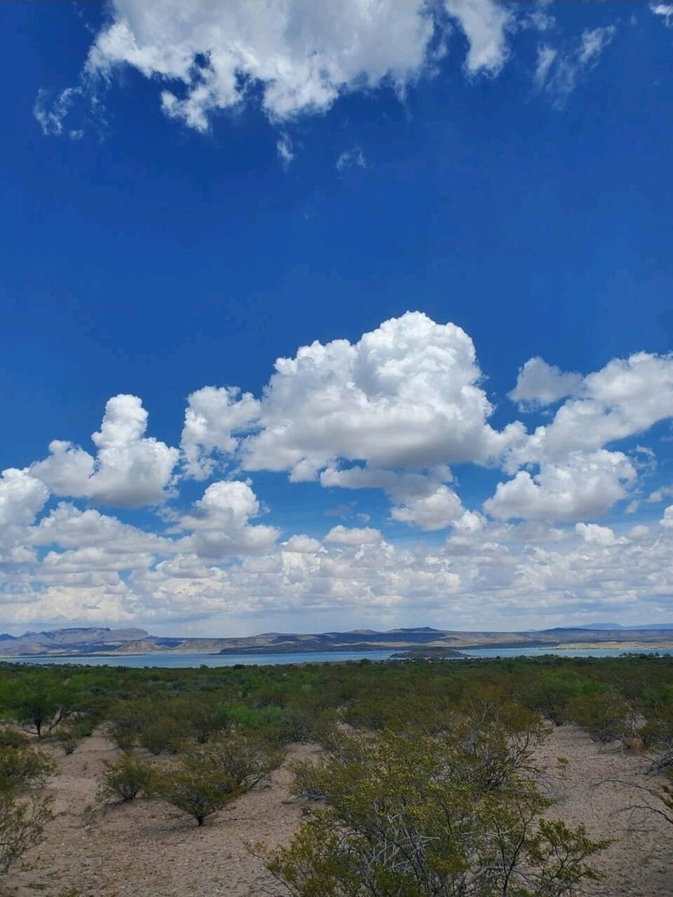 Elephant Butte Lake and Kettletop Peak in the distance.