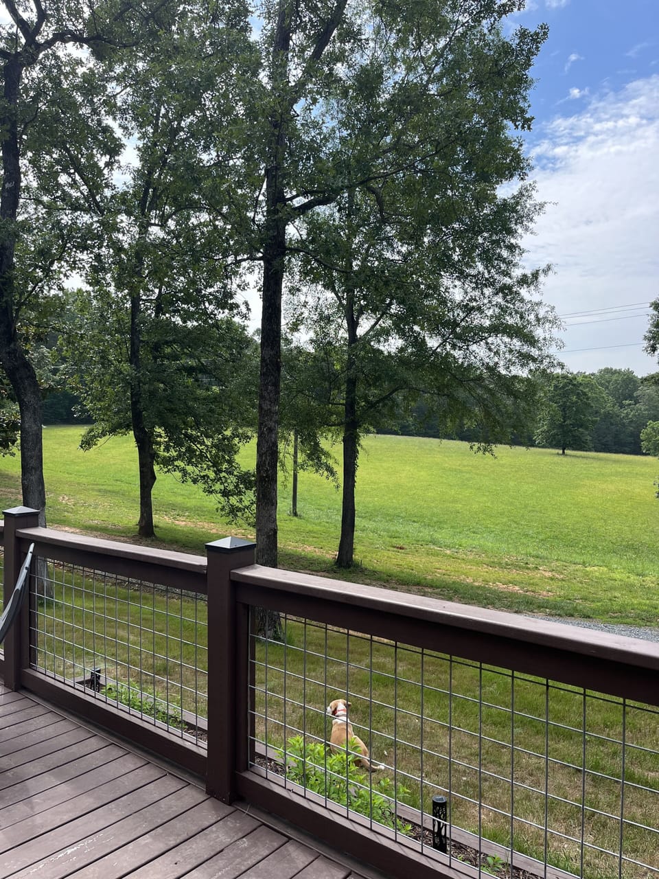 Property grounds