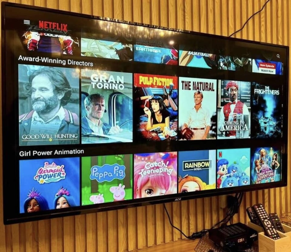 Television