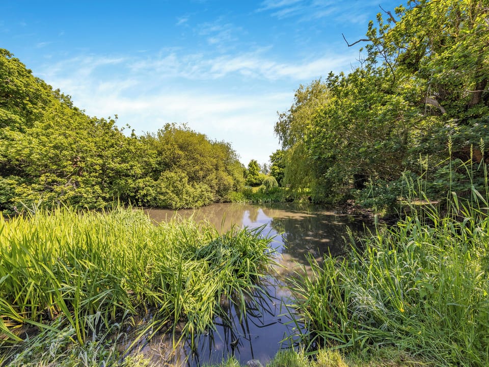 Surrounding area | Bluebell Cottage - Pen y Bryn Farm and Holiday Cottages, Betws Yn Rhos