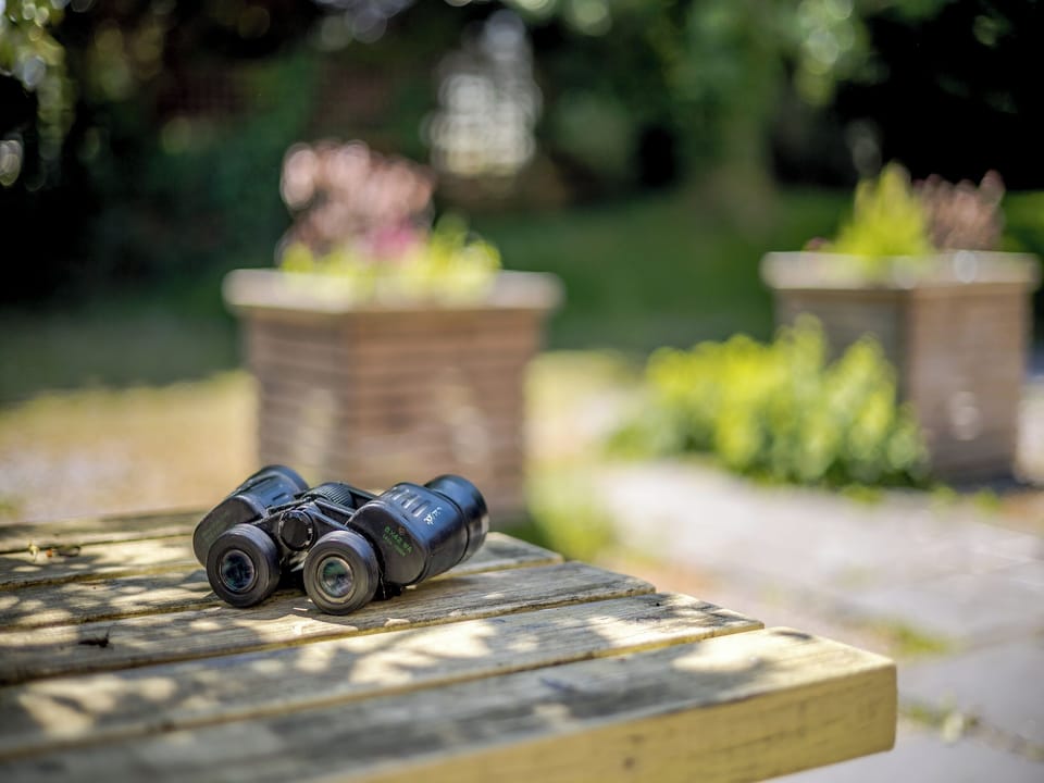 Sitting-out-area | Primrose Cottage - Pen y Bryn Farm and Holiday Cottages, Betws Yn Rhos