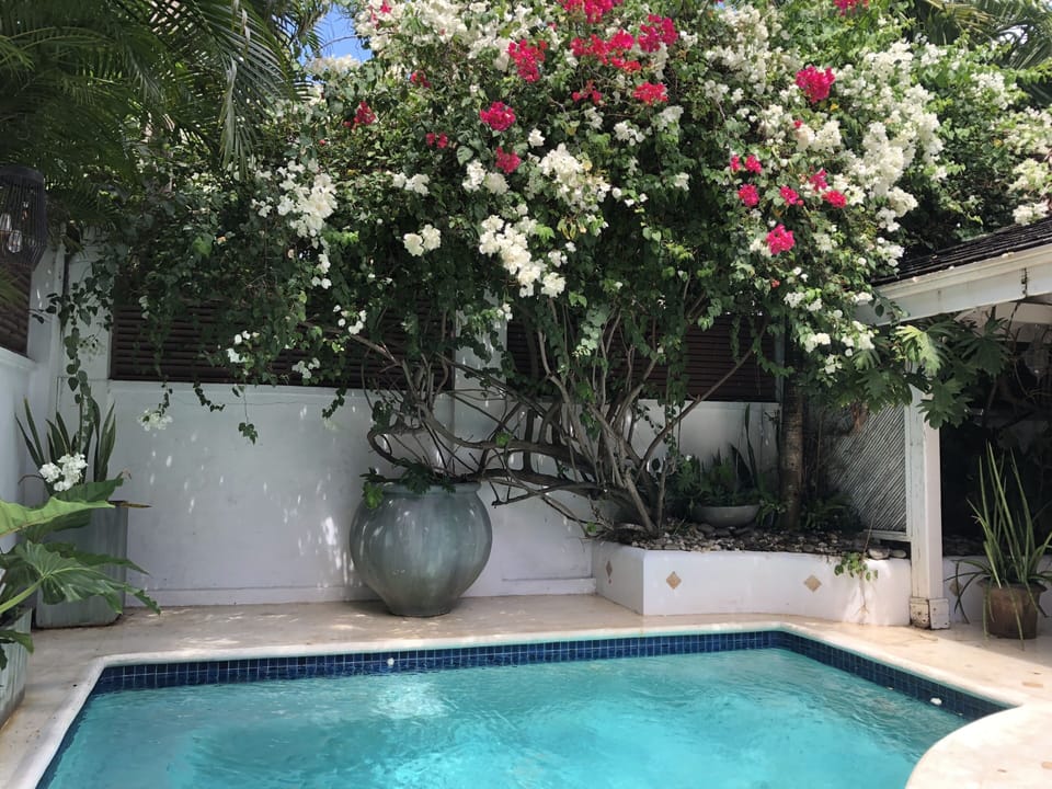 Plunge pool in courtyard 