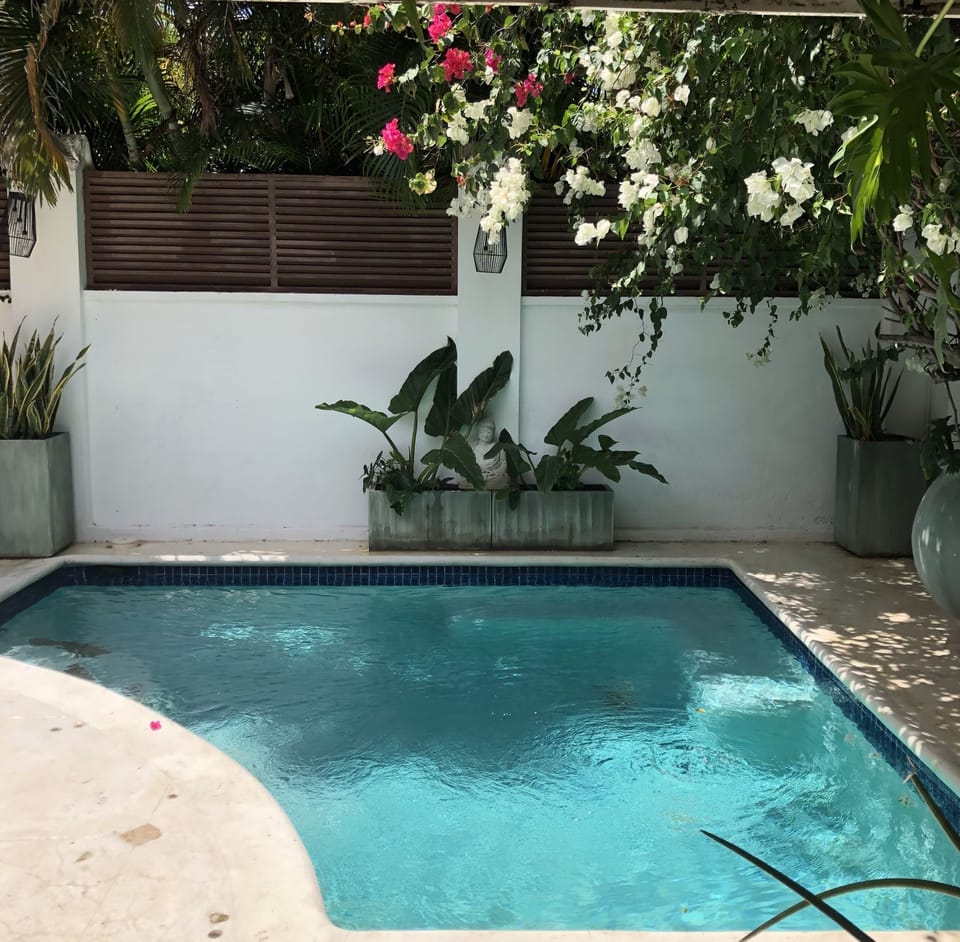 Pool upon entrance through main door 
