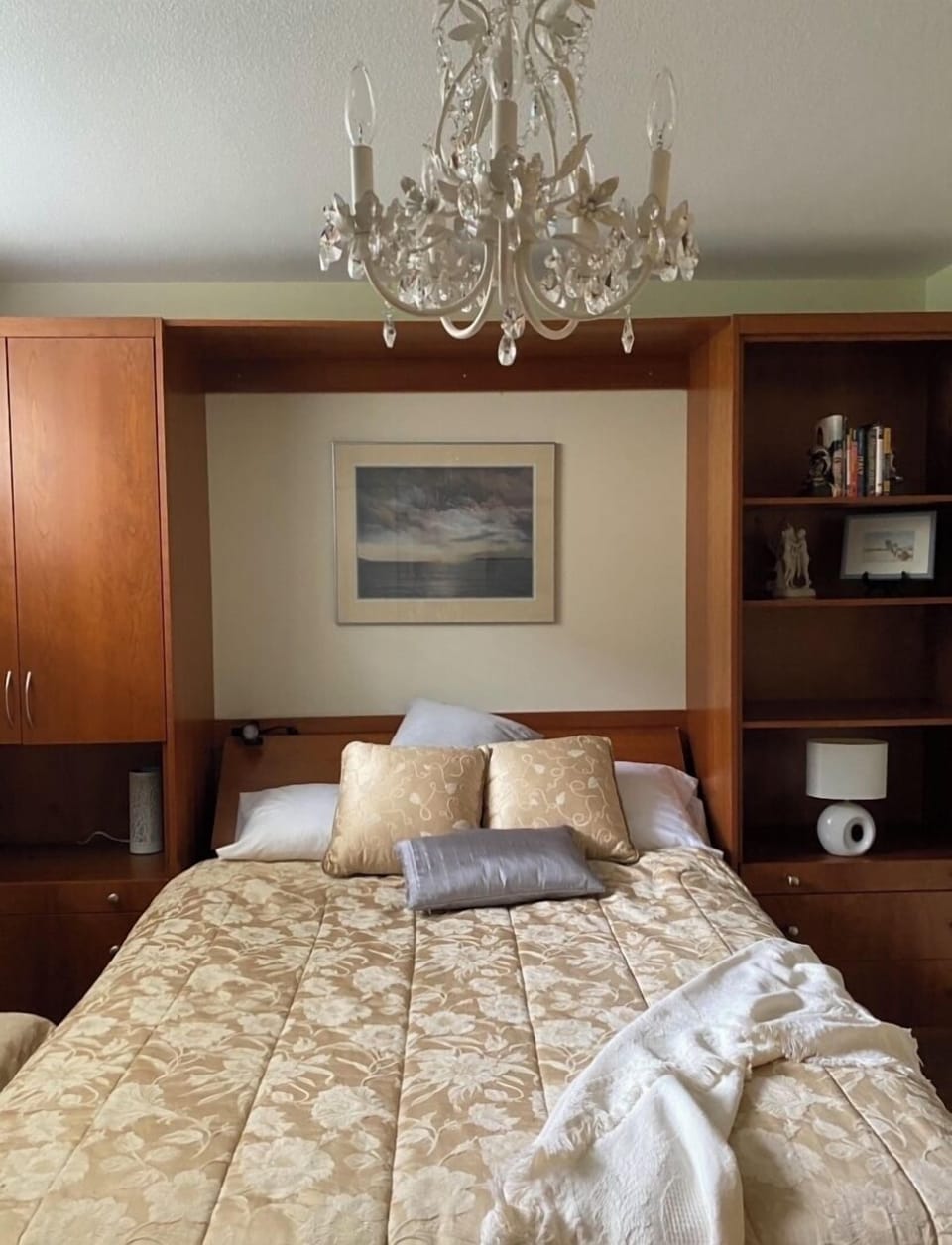 Comfortable Queen Murphy bed
