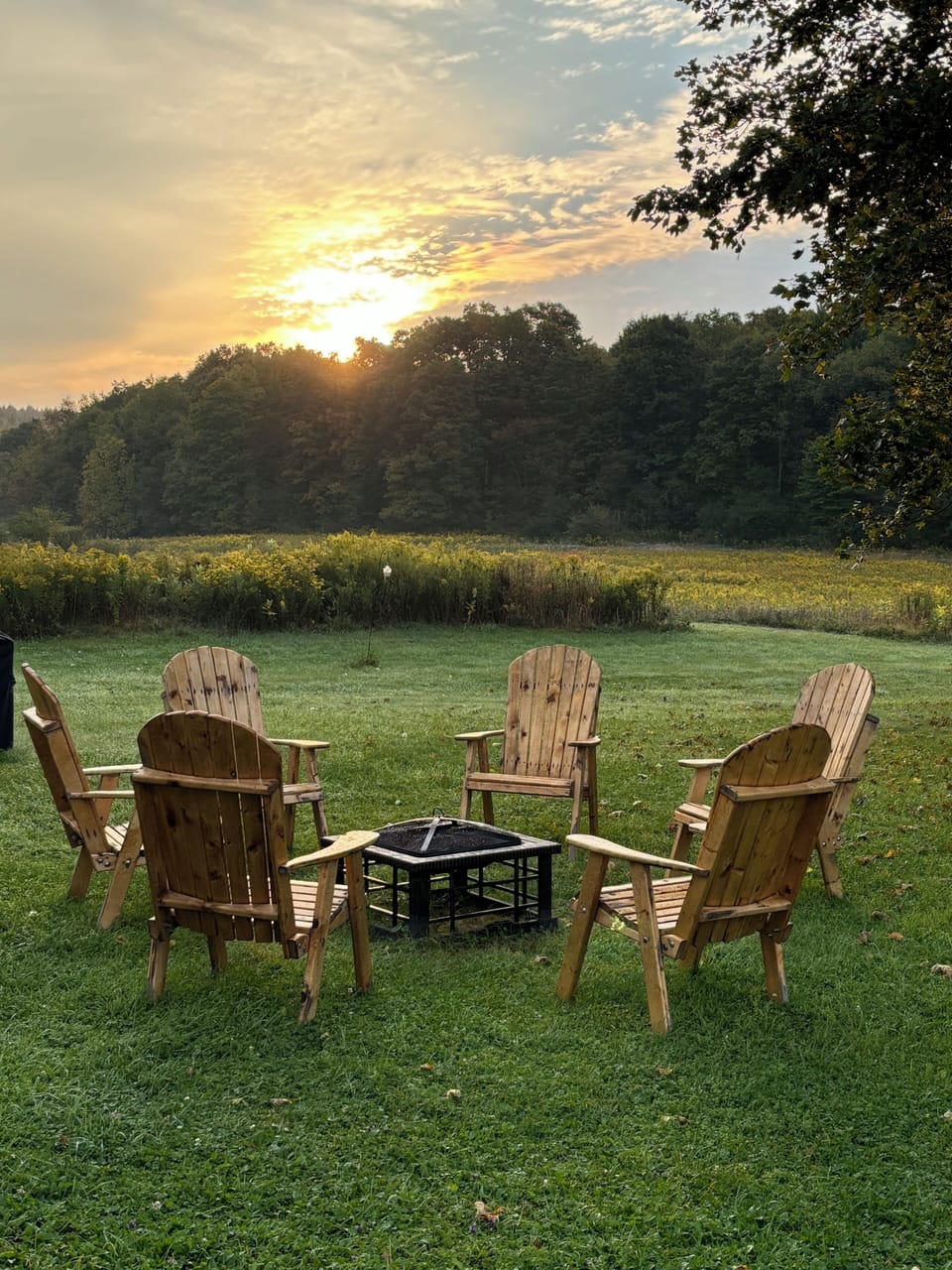 Back Yard Fire Pit 