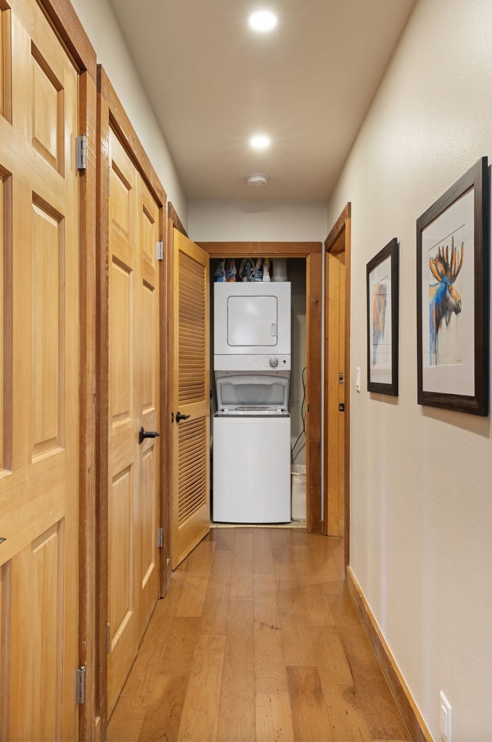 Laundry closet