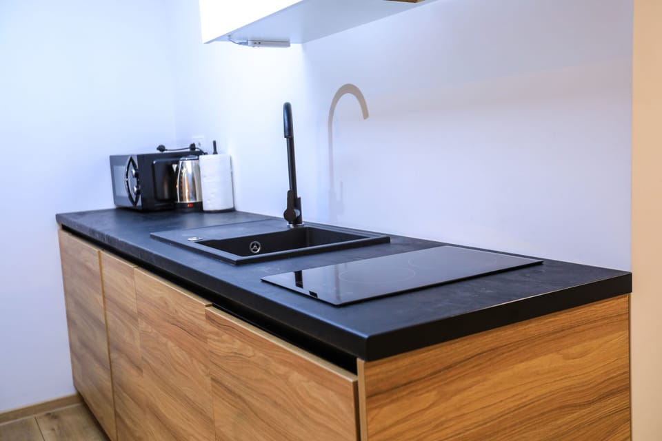 Family Studio Suite | Private kitchen | Full-size fridge, microwave, stovetop, dishwasher