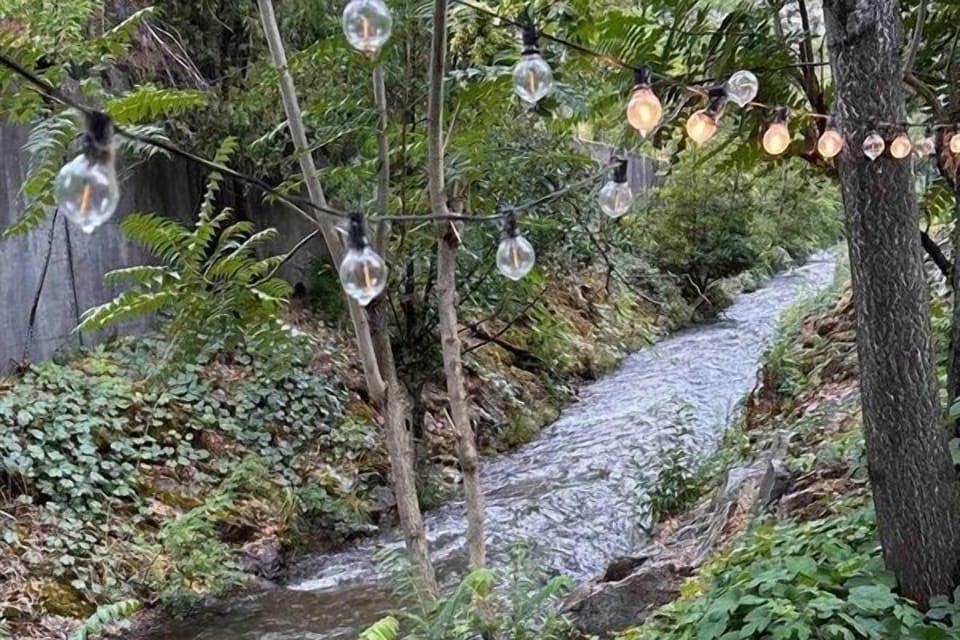 Rushing Wolf Creek in backyard