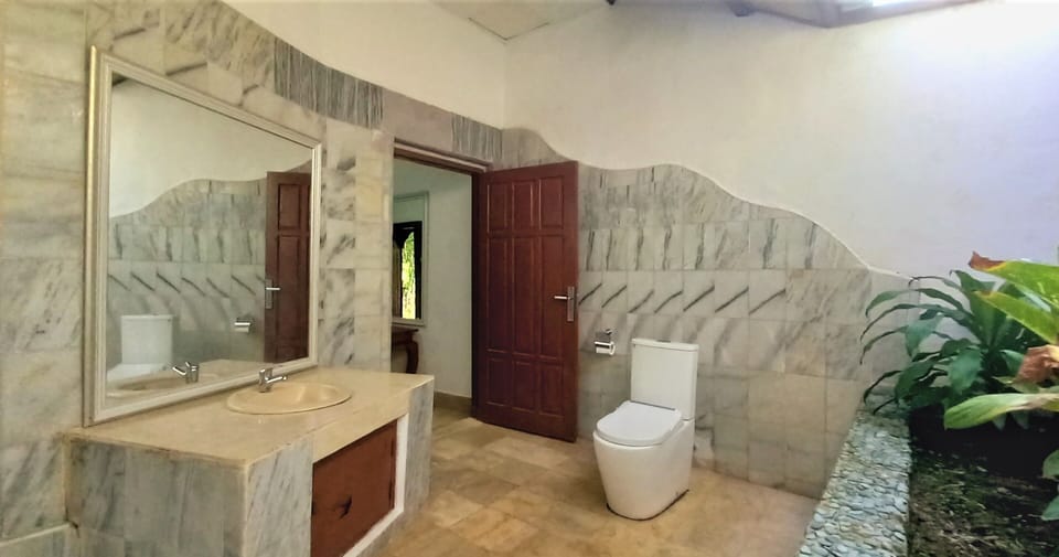 Deluxe Suite | Bathroom | Shower, bidet, towels, soap