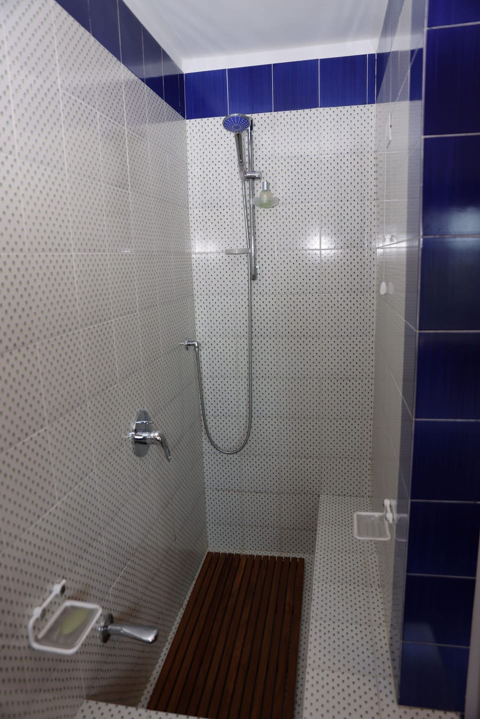 Comfort Room | Bathroom | Shower, hair dryer, bathrobes, bidet