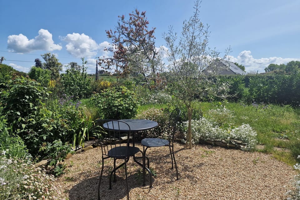 Garden [summer]