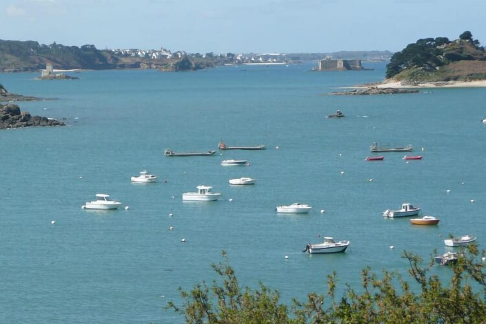 Immediate Surroundings [summer] (<1 km)