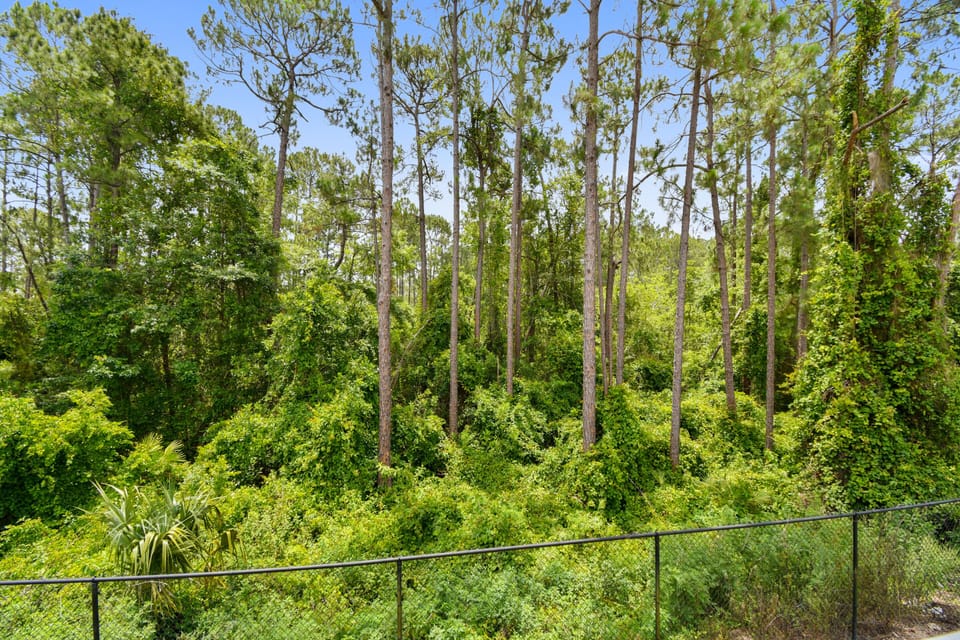 Preserve view from Patio