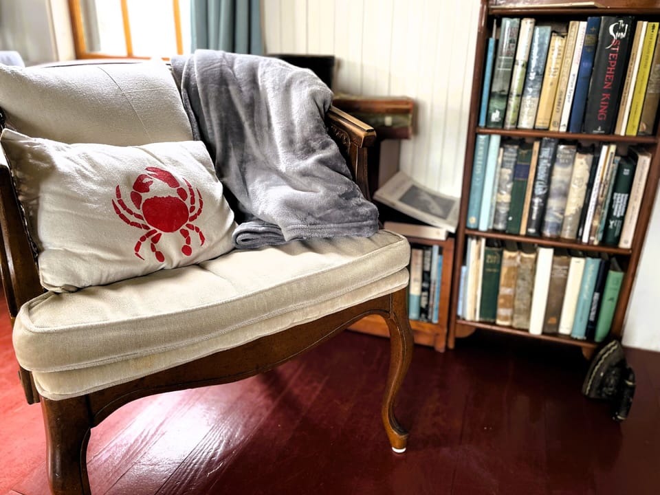 Mini library for summer reading