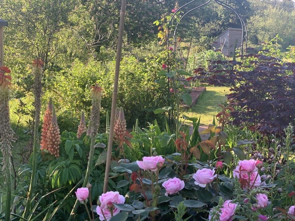 Cottage | Property grounds